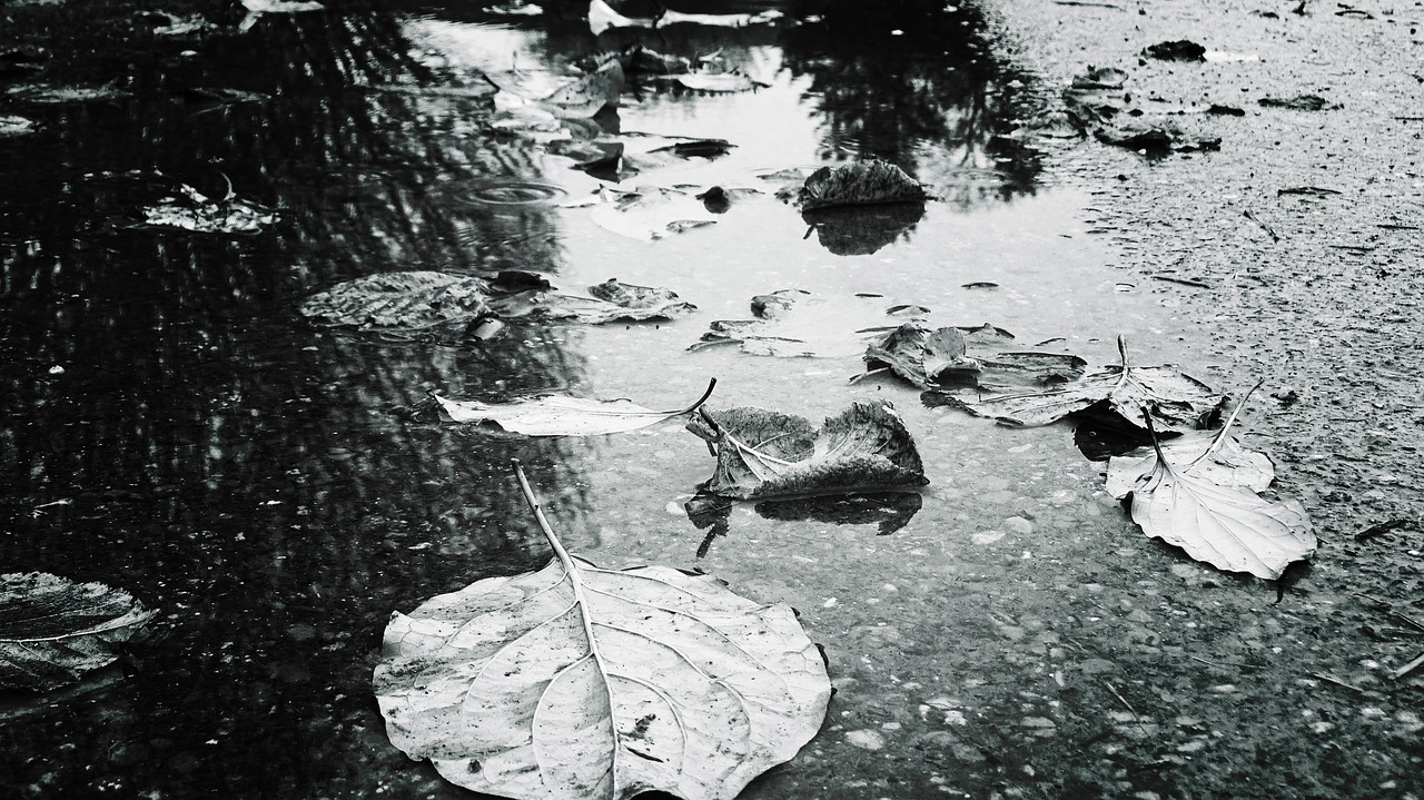 梦中雨淋湿，醒来何以安？——解读梦境中的情绪密码与心灵启示