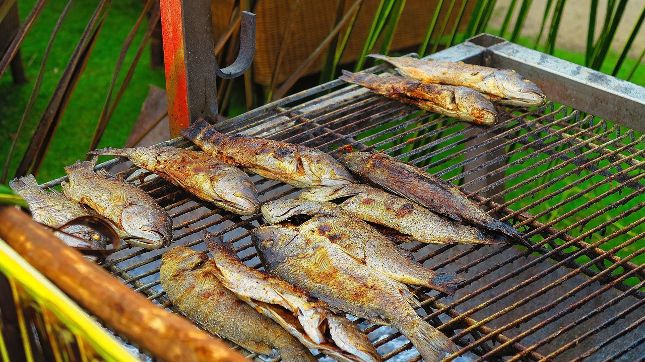 健康美食探秘猪腰子的三重美味变幻，家常菜新吃法，让你大呼过瘾！