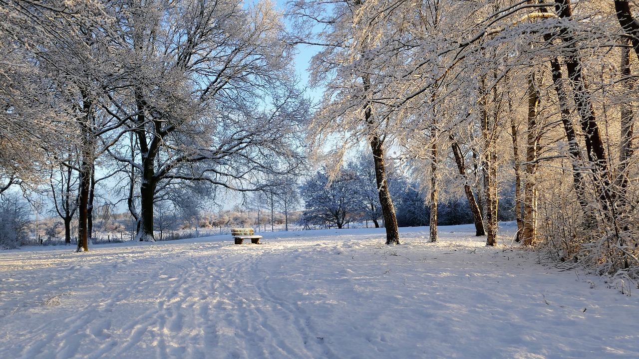 数九严冬里的浪漫奇遇，大雪纷飞，冰雪世界的独特诗篇